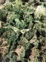 img_20190209_173829316