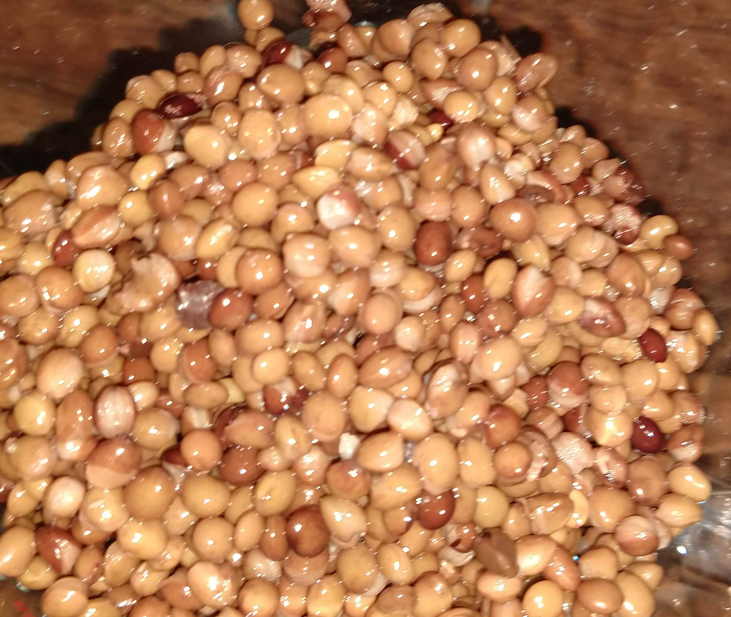 img_20190209_174253859